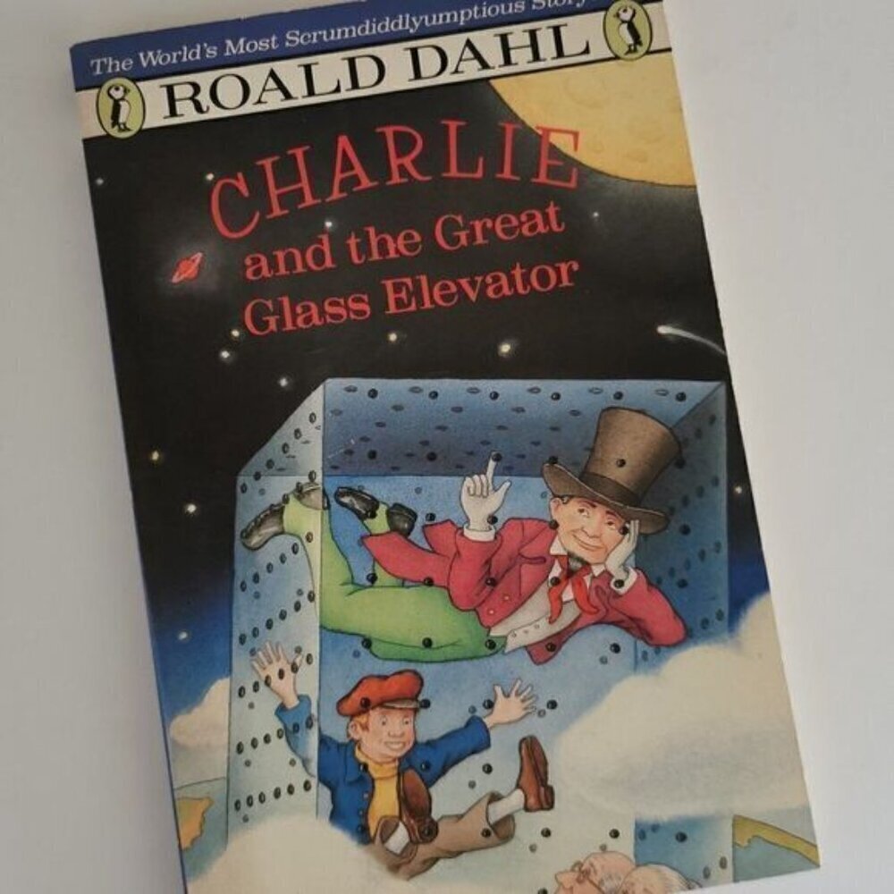 1988 Charlie and the Great Glass Elevator Paperback, Roald Dahl Vintage Kid Book